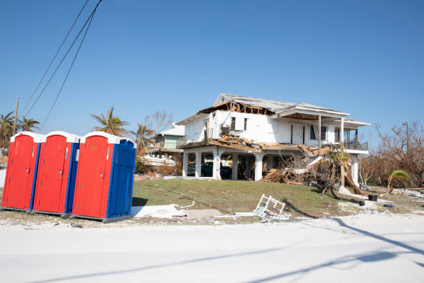 Professional Tree Removal in Elko New Market, MN